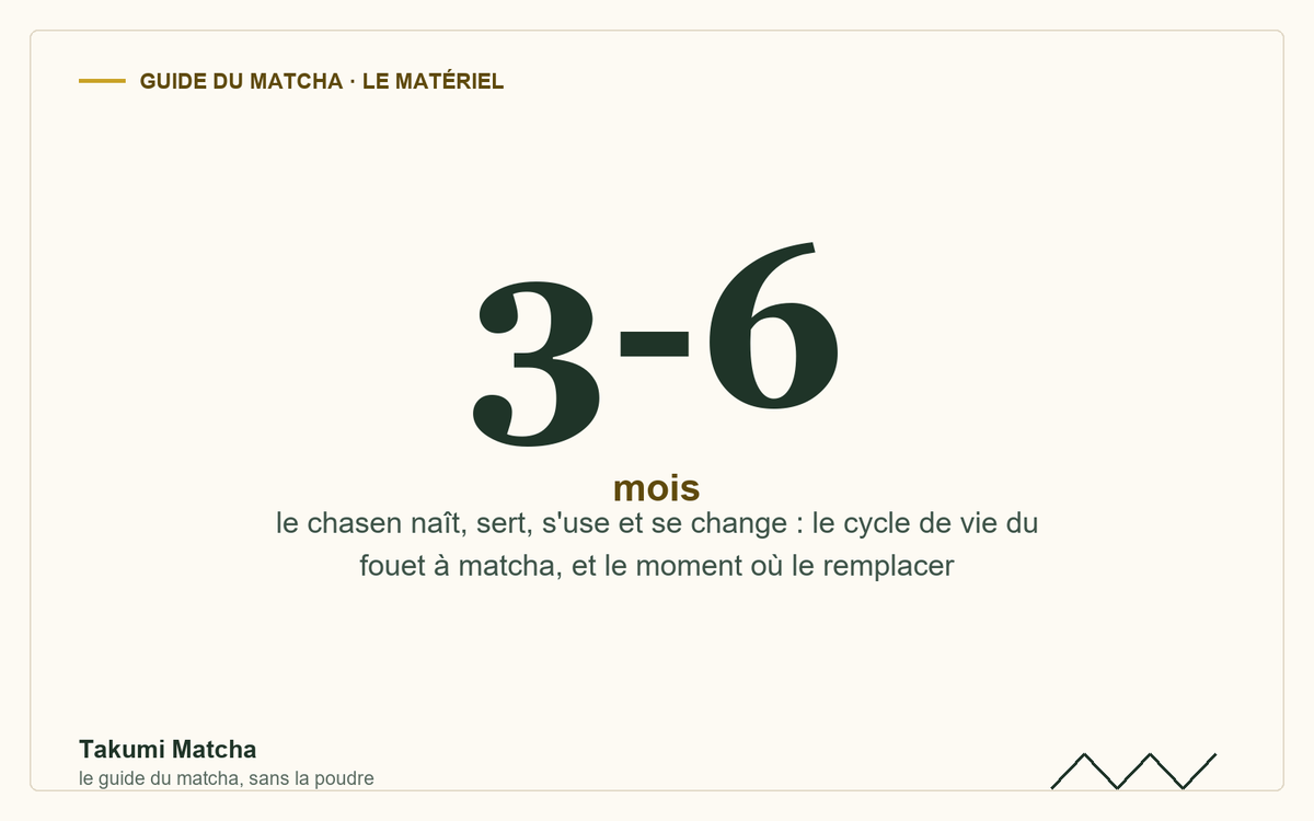 3-6 mois — couverture de l'article « Cycle de vie d'un chasen », Takumi Matcha