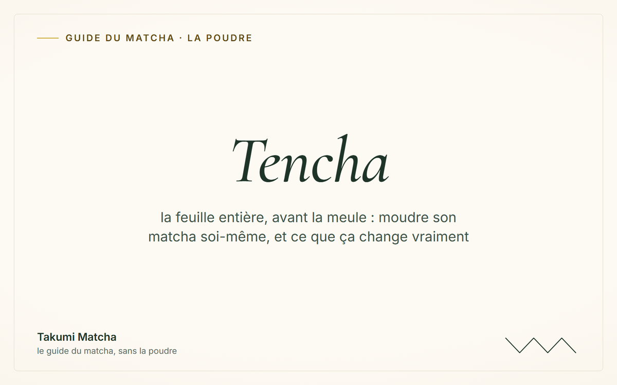 Tencha — couverture de l'article « Moudre son matcha soi-même : le guide des puristes », Takumi Matcha